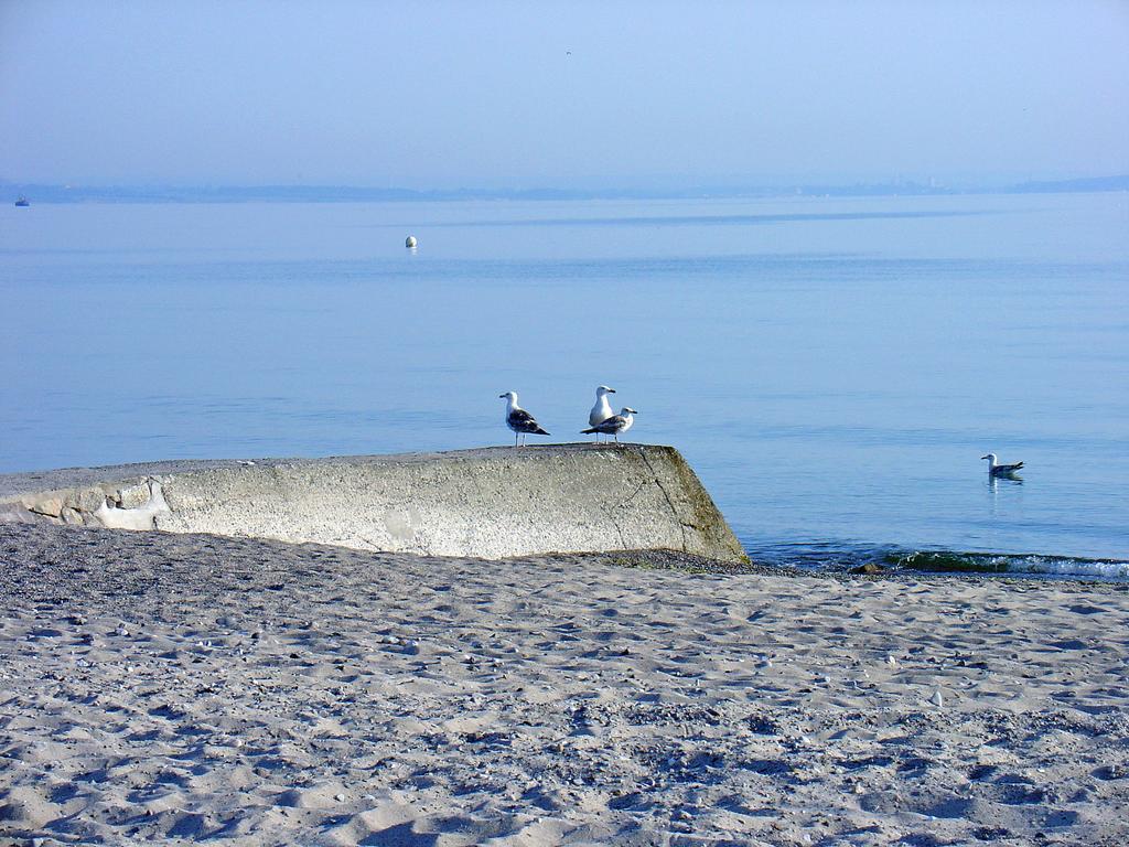 Fewo Machedanz Zentrumsnah & Ruhig Timmendorfer Strand Exterior photo